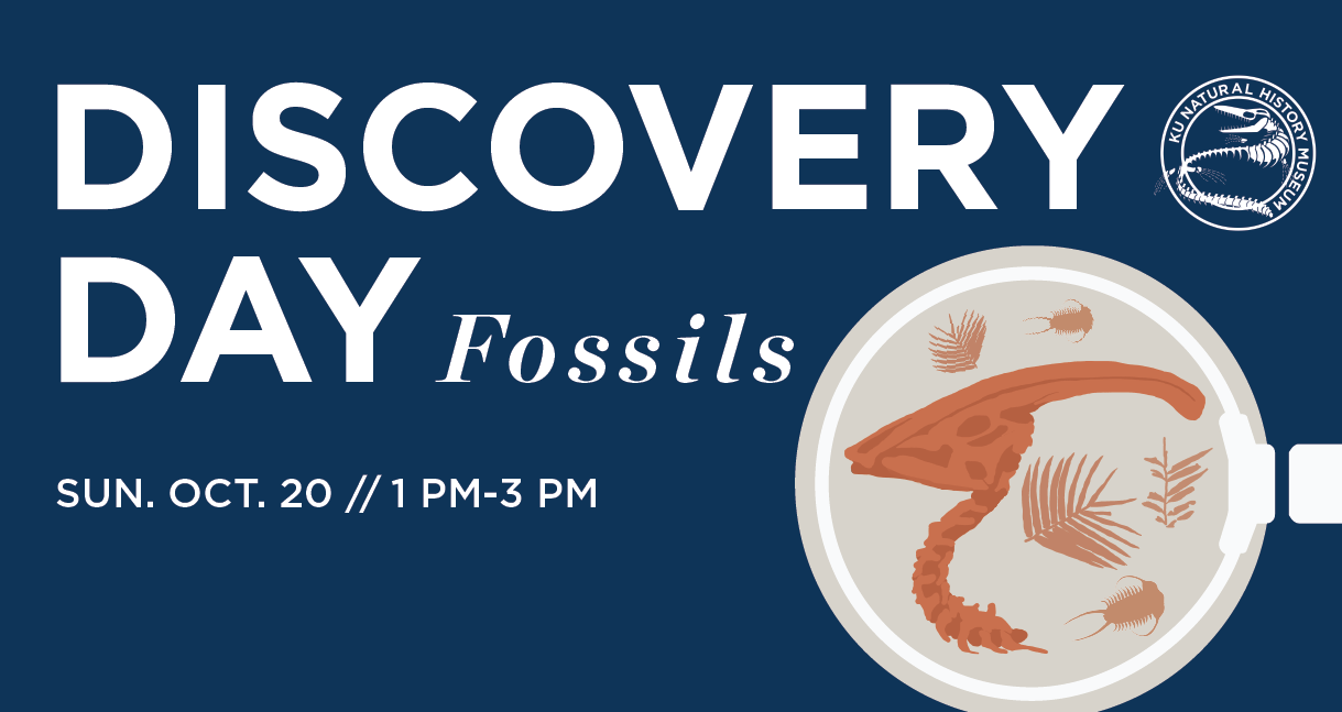 72567936_10158012876172450_3959117625300090880_o